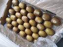 佳沛（zespri）新西蘭 新果季 陽光金奇異果33粒原箱單果重約101-114g 獼猴桃 曬單實拍圖