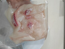 脆皖魚活魚脆肉鯇魚整條鮮活中山脆肉皖魚片魚腩脆魚皖魚冷凍生鮮 整條發(fā)不分切 A+吊水活魚12斤以上放血去內(nèi)臟 曬單實(shí)拍圖