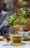 山水西湖綠茶2025新茶明前特級(jí)濃香型蘇州碧螺春茶茶葉禮盒250g中秋送禮品 曬單實(shí)拍圖