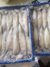 賣魚(yú)七郎全籽筆管魚(yú)2斤（含保護(hù)冰100g）魷魚(yú)海兔子籽烏滿籽帶籽軟足類 曬單實(shí)拍圖