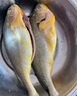 三都港 冷凍醇香黃魚鲞凈重1斤1條 三去黃花魚 燒烤食材 燒烤 曬單實拍圖