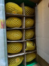 佳沛（zespri）新西蘭陽光金果10個裝獼猴桃單果重約101-124g水果獼猴桃 曬單實拍圖