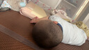 舒貝怡嬰兒衣服夏季新生兒連體衣短袖寶寶哈衣可愛爬服 小恐龍淺藍(lán)80CM 曬單實拍圖