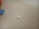 丸丫寶寶爬行墊嬰兒加厚家用爬爬墊xpe兒童整體墊1.8*2.0米2.5CM-田園 曬單實拍圖