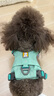 拉夫威爾ruffwear嗨輕狗狗胸背帶狗背帶中小型犬雪納瑞背帶式狗狗牽引繩 鼠尾草綠/霧森綠 XXS 曬單實(shí)拍圖