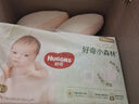 好奇（Huggies）心鉆裝小森林紙尿褲M(mǎn)50片(6-11kg)中號尿不濕透氣夏季超薄 曬單實(shí)拍圖