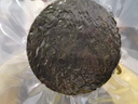 森農(nóng)樂壓縮海帶絲即食涼拌干貨圓餅獨(dú)立小包裝福建霞浦烘干泡發(fā)批發(fā)商用 22g*10片【大規(guī)格裝】 曬單實(shí)拍圖