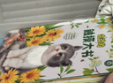 會動的觸摸大書 0-2-3歲寶寶的第一本觸摸書嬰兒幼兒感官刺激啟蒙認知英語早教兒童益智玩具地板繪本撕不爛立體翻翻機關(guān)書地板書 曬單實拍圖