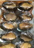 金唐鮮凍鮑魚凈重300g 10粒盒裝帶殼鮑魚肉 貝類海鮮生鮮火鍋燒食材 曬單實(shí)拍圖