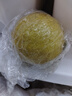 小博農(nóng)場(chǎng)四川安岳黃檸檬 新鮮皮薄多汁鮮檸檬小青檸新鮮水果泡茶切片 10個(gè) 單果60-80g 曬單實(shí)拍圖