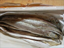 【順豐包郵】帶魚(yú)新鮮整條帶魚(yú)無(wú)冰凈重野生黑眼帶魚(yú)批發(fā)整箱刀魚(yú) 5斤帶魚(yú)【每斤2-3條】 曬單實(shí)拍圖