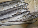 【帶魚無冰】小眼帶魚整條無冰凈重新鮮箱裝刀魚整箱海鮮水產 5斤整條帶魚【2-3條/斤】 曬單實拍圖