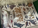 青葫蘆那么大恐龍3d立體書兒童3-6-7-10歲以上繪本翻翻書趣味科普恐龍百科全書揭秘恐龍世界繪本一二年級(jí)小學(xué)生少兒機(jī)關(guān)動(dòng)物課外故事書籍兒童生日禮物 【禮盒裝6冊(cè) 】恐龍+昆蟲+太空+海洋+動(dòng)物+植物 曬單實(shí)拍圖