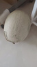 山東海陽網(wǎng)紋瓜 玫瓏蜜瓜 冰淇淋瓜 軟糯香甜 當(dāng)季新鮮水果整箱 5斤裝凈重4.5-5斤（2個瓜） 曬單實拍圖