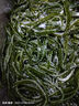 鮮海帶 鹽漬海帶絲 涼拌菜海帶絲食材鮮嫩 新鮮鹽漬海帶絲2.5kg 曬單實拍圖
