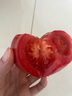 京鮮生沙瓤粉西紅柿 凈重3斤 單果100g+果菜兩吃 源頭直發(fā) 【搜生鮮館】 曬單實拍圖
