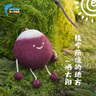 哈一代玩具中藥鋪本潮綱目文創(chuàng  )中藥玩偶小掛件鑰匙扣毛絨玩具公仔娃娃送女友 芡實(shí)玩偶掛件 滿(mǎn)四贈煲+藥方包裝 曬單實(shí)拍圖