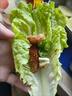 牛鮮尊國產(chǎn)黃牛原切谷飼 牛肉卷2斤 肥牛卷涮火鍋食材 生鮮牛肉 曬單實拍圖