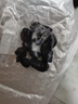 協(xié)穆胖東來桑葚干代購正宗特級新疆黑桑葚干新鮮桑椹果免洗泡水養(yǎng)生茶 DL甄選 5克很少*拍罐裝更劃算 曬單實拍圖