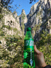 嶗山啤酒（laoshan beer）精品經(jīng)典 316ml*24瓶 青島嶗山啤酒 傳統(tǒng)工藝釀造 316mL 24瓶 整箱裝 曬單實拍圖