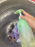 范泳辰內(nèi)衣內(nèi)褲專用洗衣液清洗液手洗殺菌除菌除螨消毒去血漬男女士兒童 曬單實(shí)拍圖