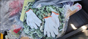 陌甜掰玉米專用衣服全套防蜂服帽子玉米地防護服防刮臉干農(nóng)活收割棒子神器防蚊蟲 【五星色】加厚透氣防護服+防蚊蟲網(wǎng)紗帽（熱銷款） 曬單實拍圖