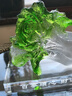 菲斯鉑亞琉璃工藝品水晶大白菜百財擺件招財朋友開店開業(yè)禮物高檔定制創(chuàng)意 大號白菜-深綠色+水晶底座 曬單實拍圖