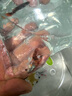 CRAZY PLANT大型孔雀魚大號5cm觀賞魚活魚苗熱帶淡水耐活金魚特大號精品鳳尾 夢幻調(diào)色盤藝術(shù)家組合（共8條） 曬單實拍圖