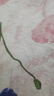 ASK JUNIOR女童褲子2025夏兒童休閑褲小童數(shù)碼印花透氣防蚊褲 花色  120  曬單實(shí)拍圖