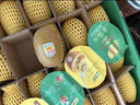 佳沛（zespri）x1號(hào)會(huì)員店聯(lián)名款陽(yáng)光金奇異果24粒禮盒單果約103-124g水果獼猴桃 曬單實(shí)拍圖