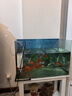 JCZS德國魚馬桶魚缸糞便分離器過濾器凈水循環(huán)三合一氧氣泵制氧一體機(jī) 15W【強(qiáng)勁吸糞/魚便分離】AQ-1000F 曬單實拍圖