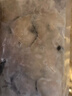 釣魚記免漿黑魚片2.5斤 (5袋*250g) 酸菜水煮魚火鍋冷凍生魚片 生鮮 曬單實(shí)拍圖
