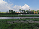 普聯(lián)（TP-LINK）迷你型無線路由器 ap家用出差便攜式有線轉(zhuǎn)無線wifi 信號(hào)中繼橋接高速穿墻 USB供電 TL-WR802N 曬單實(shí)拍圖