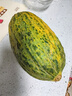 趣嘗鮮 藤上熟黑金蜜瓜 2枚 6-7斤 蜜瓜 新鮮水果 源頭直發(fā) 包郵 曬單實拍圖