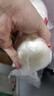 秋小鮮山東老面手工豆沙包子 600g 5只 早餐雜糧饅頭 源頭直發(fā) 包郵 曬單實(shí)拍圖