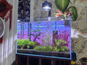 老漁匠魚缸背景燈板led南美缸水草缸水族箱觀賞照明燈rgbw發(fā)光板 漸變背景板60*40cm-APP控制遠(yuǎn)程操控 曬單實(shí)拍圖