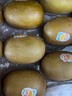 佳沛（zespri）新西蘭  陽光金奇異果巨大果22粒原箱 單果重約144-175g 獼猴桃 曬單實拍圖