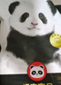 雀氏（Chiaus）拉拉褲早安寶貝XXL52片（≥15kg）嬰兒尿褲【品牌直供 安心品質】 曬單實拍圖