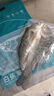 釣魚記開背海鱸魚1斤-1.3斤 三去凈重 冷凍 生鮮 魚類 海鮮水產(chǎn) 曬單實(shí)拍圖