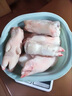【順豐】10只生豬蹄豬腳豬爪豬蹄小肥蹄散養(yǎng)土豬肉冷凍豬蹄鹵豬蹄 帶筋土豬蹄2只【冷鏈速發(fā)】 曬單實拍圖