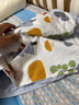 好孩子（gb）嬰兒被子寶寶毯子豆豆安撫毯幼兒園蓋毯午睡被母嬰A類100*80 禮盒 曬單實(shí)拍圖