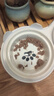 滋益巔峰貓主食罐頭主食新西蘭原裝進(jìn)口羊肉185g*6【臨期清倉(cāng)】  曬單實(shí)拍圖