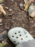 CORCS CROCS 夏季新款貝雅洞洞鞋男女戶外涼拖鞋男士沙灘鞋 骨白色 41 曬單實(shí)拍圖