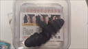 耳塞超強(qiáng)隔音 小米有品適用隔音耳塞可用工業(yè)防噪音耳塞隔音非米 黑黑黑-【1對(duì)體驗(yàn)裝】 【防塵收納】買(mǎi)幾對(duì)送幾個(gè)收納盒 曬單實(shí)拍圖