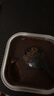 熔巖慕斯蛋糕巧克力味面包早餐下午茶甜品糕點(diǎn)心甜點(diǎn)美食網(wǎng)紅零食 熔巖慕斯蛋糕50g*5盒 曬單實(shí)拍圖