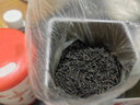 正山小種紅茶正宗福建武夷山一級紅茶葉罐裝濃香型袋裝新茶罐裝 正山小種一級單罐裝100g 曬單實(shí)拍圖