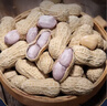 享食兔 龍巖水煮花生曬干咸干原味2斤堅果炒貨零食濕烤花生米下酒菜解饞 曬單實拍圖