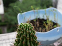 SGIMAGE深光50mm F1.4大光圈人像定焦鏡頭半畫幅手動對焦微單鏡頭適配E口Z口M43口X口L口R口 50mm F1.4 M4/3系統(tǒng)接口 曬單實(shí)拍圖