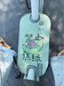 飛鴿E75智能電動(dòng)自行車45公里長(zhǎng)續(xù)航電動(dòng)車鉛酸電池48V12Ah電瓶車新國(guó)標(biāo)上班代步小電驢源彩青竹綠 曬單實(shí)拍圖