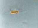 NYO3 97%高純深海魚油軟膠囊 1450mgOmega-3 EPADHA 120粒 曬單實拍圖